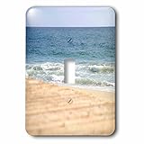 Henrik Lehnererデザイン – Nature – Boardwalk at the beach in Laguna Beach California – 照明スイッチカバー – シングルト
