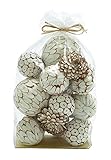 Benzara Mesmerizing Decorative Dried Sola Ball Bag