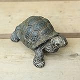 雑貨　置物・フィギュア：カメSS