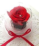 ローズアンジュオリジナル プリザーブドフラワー 赤いバラのドームアレンジ　大きな赤い薔薇一輪をドームに閉じ込めて
