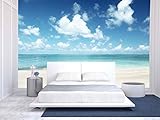 wall26 Wall Muralシリーズ 自己接着式壁紙 大型 66"x96" WMR-WP-X-C645-66x24x4