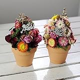 金色のトナカイのついたクリスマスフラワーツリー　素焼きのポット入り　ドライフラワー　ボルドーカラー　ギフト