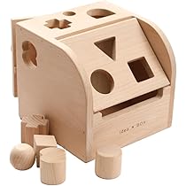木製 びわ　専用ケース付き 木製 びわ 専用ケース付き 木製 びわ 専用ケース付き