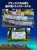 ブランズ小竹向原と越中島トラックターミナル