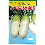 大根 種 おてごろ大根2号 小袋（約20ml）
