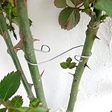 [ベルツモア][かんたん誘引材]ローズフック　4cm/6cm/9cmのセット[バラの枝の誘引に！] ノーブランド品