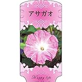 【1000枚】 AC 1型 アサガオ ASAGAO-023 ポリポット用 ラベル 名札 育苗 アンドウケミカル カ施 代不