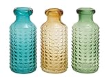 Deco 79 Glass Vase 3 Assorted 6 by 12 [並行輸入品]