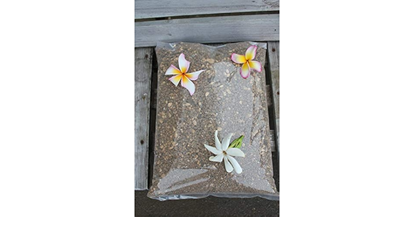 Amazon Tahiti Marche 厳選素材 熱帯植物の土 お得な10リットル プルメリアの植え替えなどに 用土
