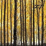 �u���g���E�f�B���B�j�e�B