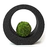 【eco-pochi】 苔ポチ×リングM　黒　コケポチ こけぽち 観葉植物　苔玉