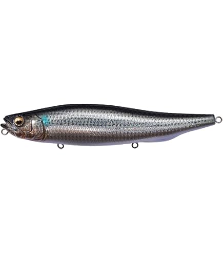 Amazon | メガバス(Megabass) VALKYRIE WORLD EXPEDITION MULTI VKC
