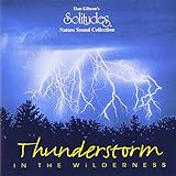 Thunderstorm in Wilderness