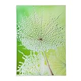 Dewy dandelion 36 x 24アウトドアフラットメタル壁アート