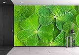 wall26 - 貼付式ウォールペーパー Lサイズ 壁画シリーズ 100"x144" WMR-WP-X-C136-100x24x6