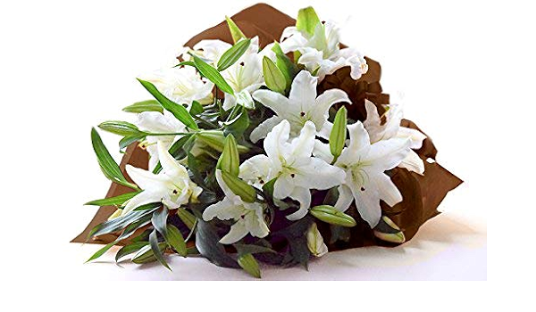大感謝セール カサブランカ輪とブルーカスミソウの花束 オリジナル 超豪華な花束 人気ナンバーワン 結婚お祝い 記念日 母の日 還暦祝い 父の日などのプレゼント 新品未使用 Razzaqassociates Com 大感謝セール カサブランカ輪とブルーカスミソウの花束 オリジナル 超豪華な花束 人気ナンバーワン 結婚お祝い 記念日 母の日 還暦祝い 父の日などのプレゼント 新品未使用 Razzaqassociates Com
