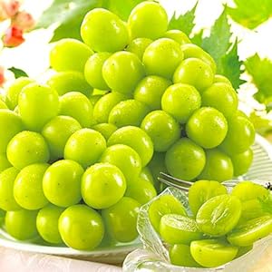 山梨県産 シャインマスカット 2㎏以上保証 糖度:18度〜20度 大玉 特秀品 ぶどう ギフト お中元 化粧箱 ブドウ…