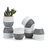 T4U 6CM 陶器ミ二植木鉢 韓国風の雪花シリーズ No.6 円柱形 多肉植物 サボテン鉢 フラワーポット プランター容器 6個入り