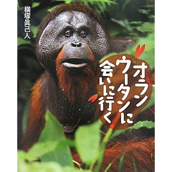 ちょっとオランウータン | 岩合 光昭 |本 | 通販 | Amazon