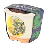 聖新陶芸 JAPANESE BONSAI 風神 黒松 GD-64001