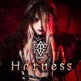 Harness (Type-B)