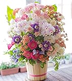 アレンジメントフラワー 生花 ギフト 3Lサイズ イメージ(可愛い) 大臣賞受賞デザイナー おまかせアレンジメント