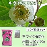 [タネ]キウイの花粉1袋と花粉増量剤・染色石松子（せきしょうし）1袋のセット ノーブランド品
