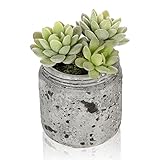 4インチリアルな人工グリーン多肉植物Arrangement in Vintage DistressedグレーセラミックJarポット