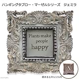 ハンギングタブロー マーゼルシリーズ ジェミラ ネルソル付 多肉植物 寄植 壁掛 鉢 プランター