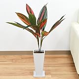 人工観葉植物 赤ドラセナ スクエア陶器鉢 光触媒加工