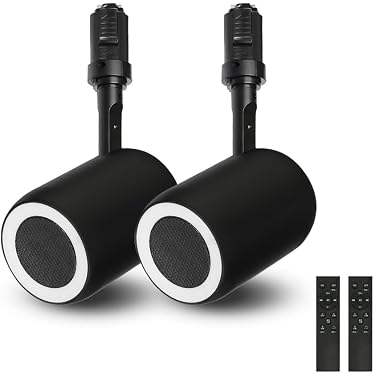 Amazon.co.jp ほしい物ランキング: 天井・壁埋込型スピーカー で