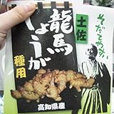 しょうが（種ショウガ）：土佐龍馬しょうが800g入 ノーブランド品
