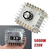 5000W Ac 220V High Power Electronic Regulator Scr Voltage