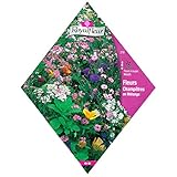 [3～10月まき　花タネ][フランス花の種]ワイルドフラワーガーデンミックス* ノーブランド品