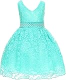 Dreamer P Little Baby Girls V型ネックレスレースオーバーレイ花女の子ドレス カラー: グリーン