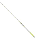 Amazon.co.jp: ダイワ(DAIWA) 穂先 クリスティア ワカサギ 55 285 SSSS