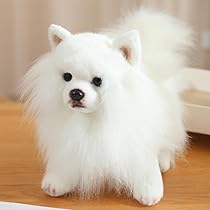 51bz5MJuJuL._AC_UL210_SR210,