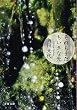 それもまたちいさな光 (文春文庫)