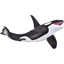 シャチ Amazon.co.jp: Collcta シャチ : おもちゃ