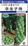 芽キャベツ種子 早生子持（1ml）