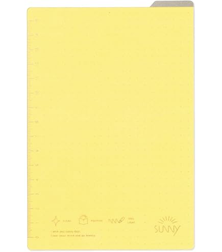 Amazon.co.jp: サッカー日本代表 レア下敷き 1993年版 : Office