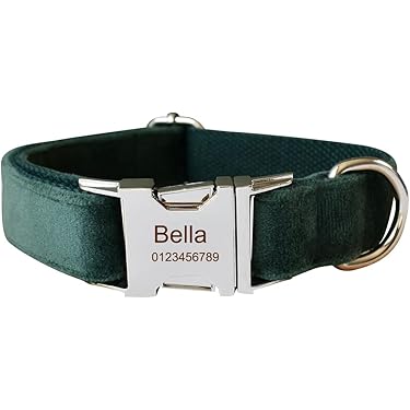 Amazon.co.jp 人気ギフトランキング: 犬用首輪・ハーネス・リード で