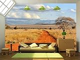 wall26 - 自着性ウォールペーパー Large Wall Muralシリーズ 100"x144" WMR-WP-X-C369-100x24x6