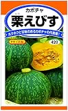 ﾀｷｲ交配 栗えびす(ｶﾎﾞﾁｬ)