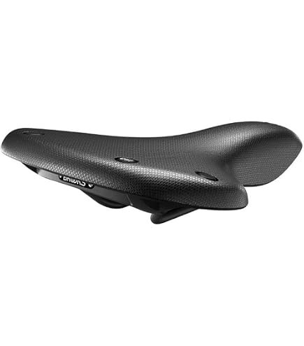 Amazon | BROOKS(ブルックス) C17 PORTER BLACK 軽量カンビウムサドル