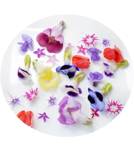 干し菊 Part.2］美味しさを伝えるための挑戦｜PREMIST Times｜ダイワハウスの