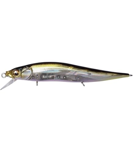 Amazon.co.jp: メガバス Megabass Vision Oneten Jr 110(GG
