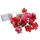 SunniMix 2m　ローズ　ストリングライト　妖精ライト　フェアリー　ガーランド　ライト　20 LED　素晴らしい　装飾　ライト