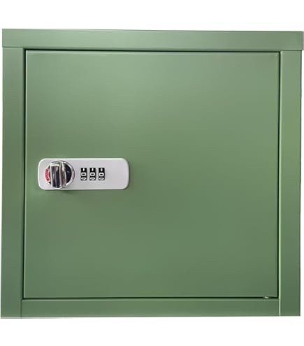 Amazon.co.jp: Zxyler ミニ金庫｜A4 ファイル対応 家庭用小型ロッカー