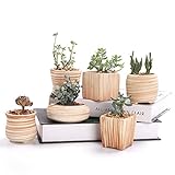 SUN-E 6セット7.6センチセラミック木製模様多肉植物ポット/サボテン植物ポット植物ポット容器Pot完璧な贈り物アイデア